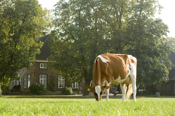 Landgoed de Barendonk